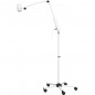 Lampa de examinare cu halogen L210221A