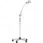 Lampa de examinare cu halogen L121120A Lampa de examinare cu halogen L121120A