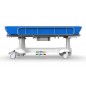 Targa spalare pacienti arsi LS 2100 3C