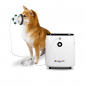 Concentrator de oxigen veterinar ICU B1 debit 7 litri