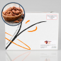 Kit Test Rapid Nuci Pecan – Detectare Alergeni Reziduuri Proteine Alimentare