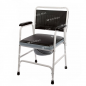Scaun toaleta standard