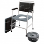 Scaun toaleta standard