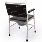 Scaun toaleta standard