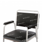 Scaun toaleta standard
